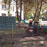 Kriva 3* Elbasan