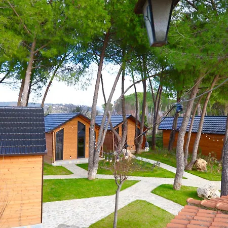 Kriva Hotell Elbasan